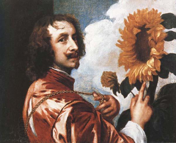 Anthony Van Dyck Self-Portrait with a Sunflower China oil painting art